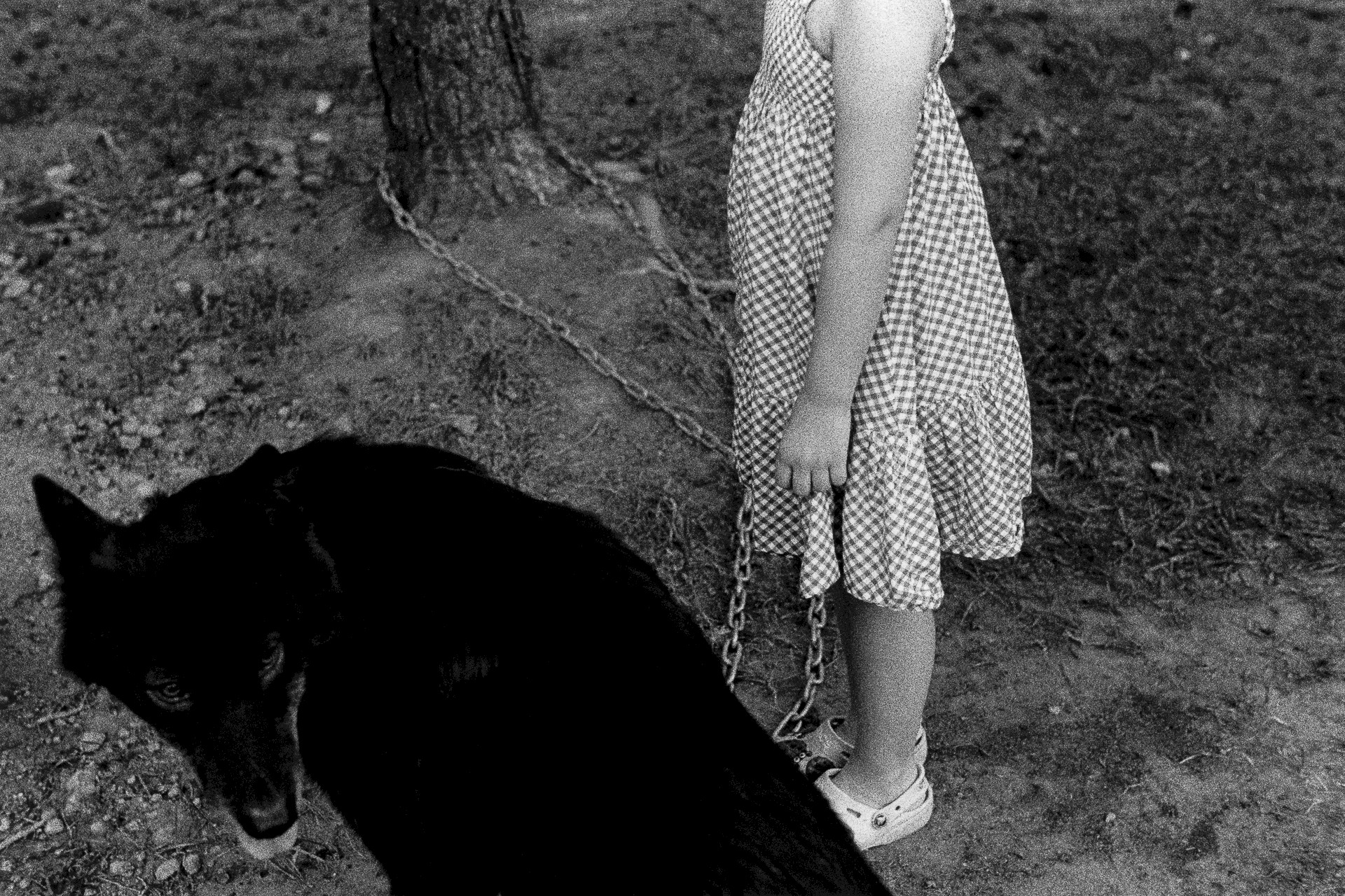 Untitled (girl and wolfdog), silver gelatin photograph by Mikael Siirilä