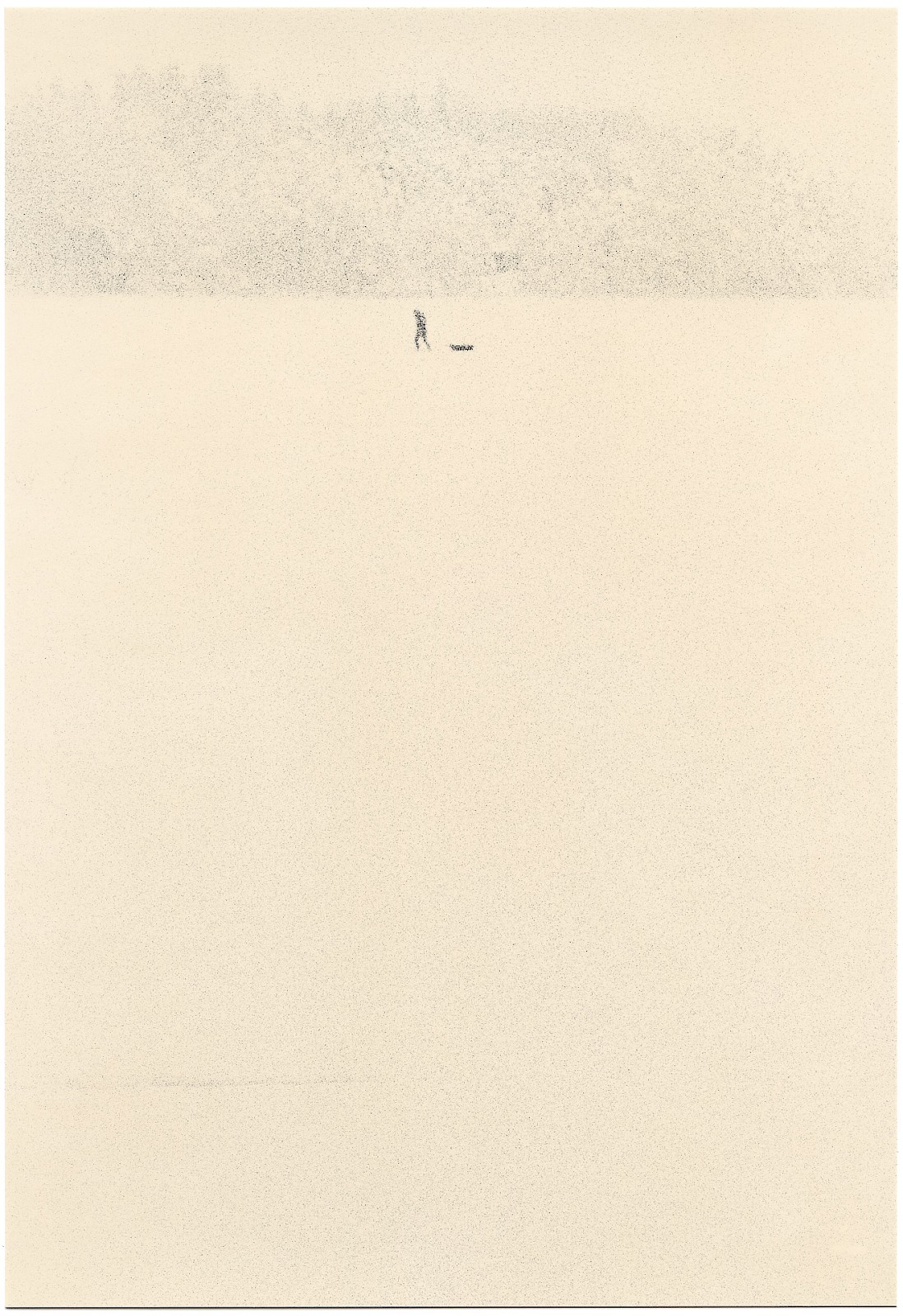 Untitled (blizzard),  by Mikael Siirilä