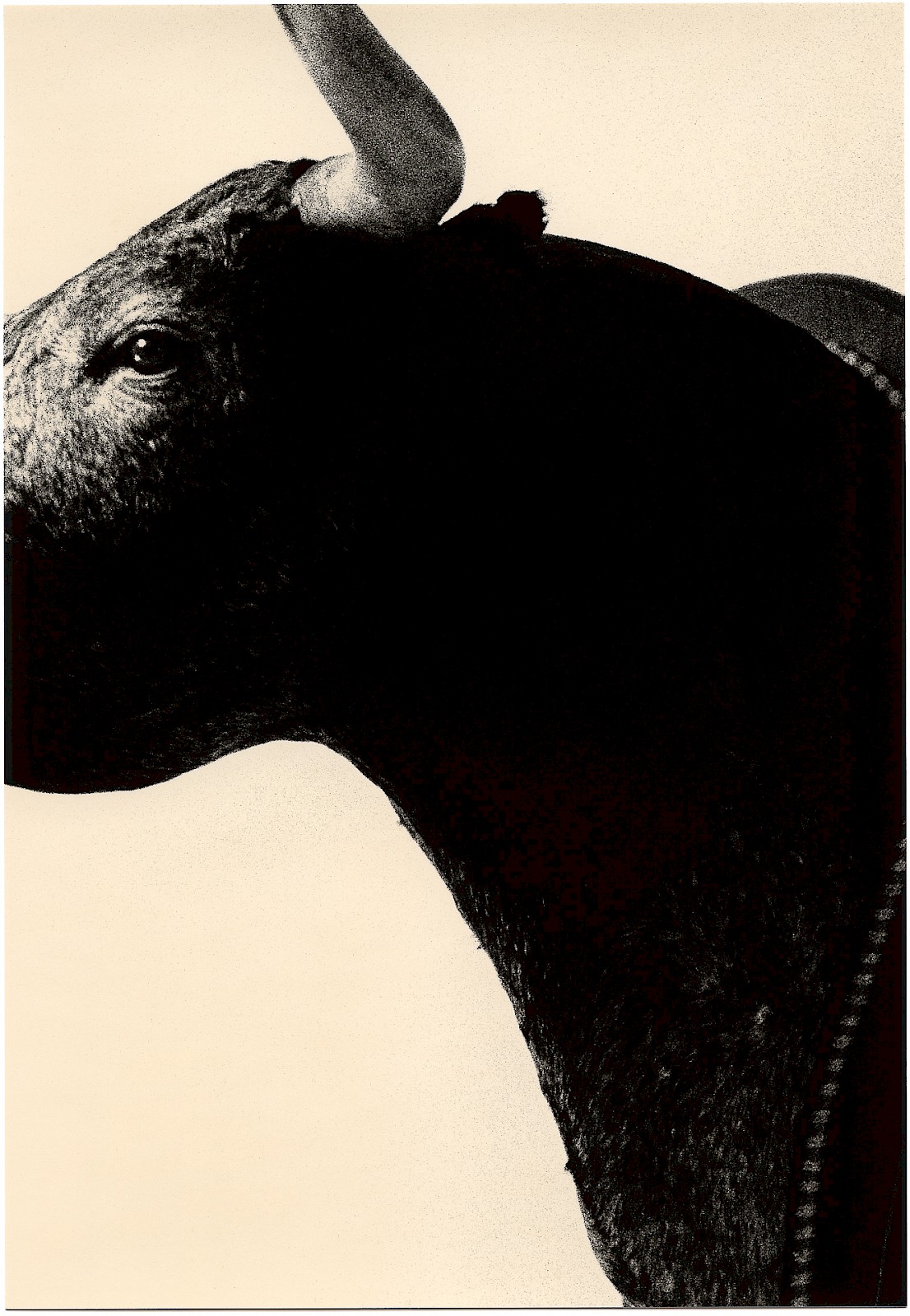 Untitled (trophy),  by Mikael Siirilä